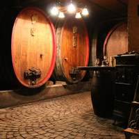 Visite de Cave et Dégustation - Gourmand
