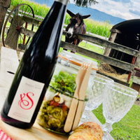 PINOT NOIR Tradition 2023