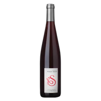 PINOT NOIR Tradition 2023