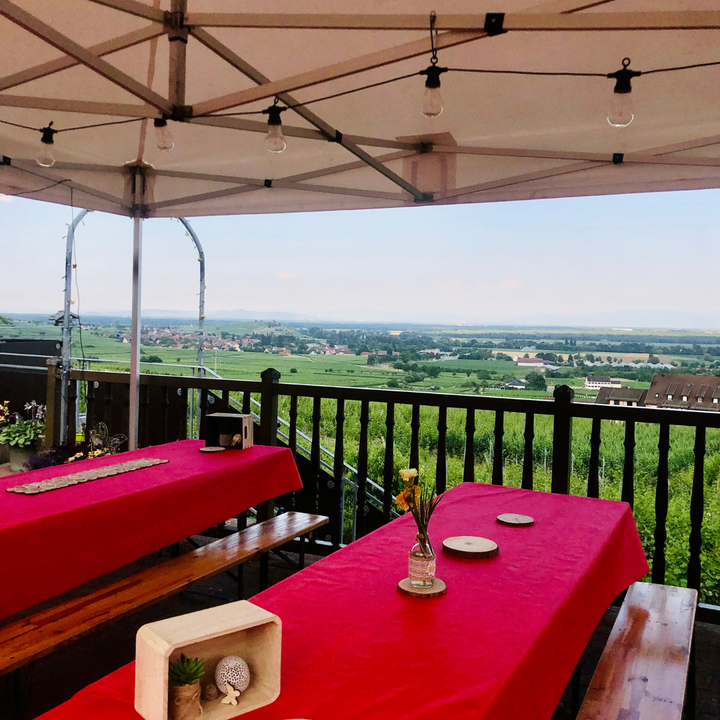 Week-end Pique-Nique chez le Vigneron Indépendant