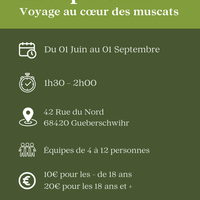 Escape Game - "Voyage au cœur des Muscats"