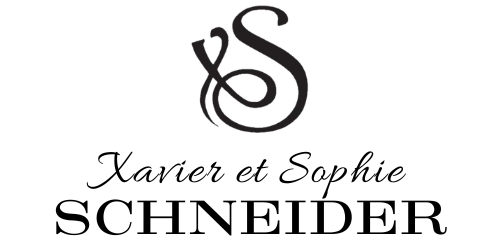 Vins Schneider logo