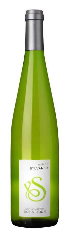 Sylvaner 2025